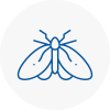 Moth Control Specialists In Pinner